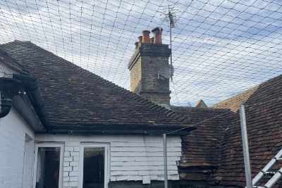 Bird Netting East Sussex