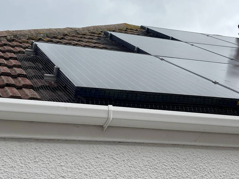 London Bird Control - Solar panel pigeon proofing