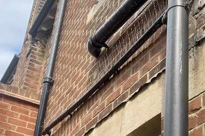 Pigeon Spikes East Sussex - County Bird Control 