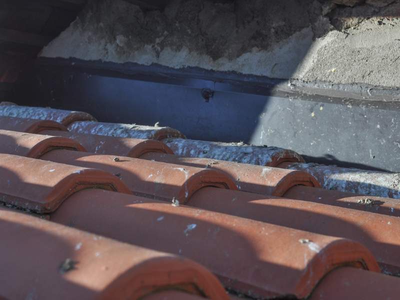 Bird waste damage on roof