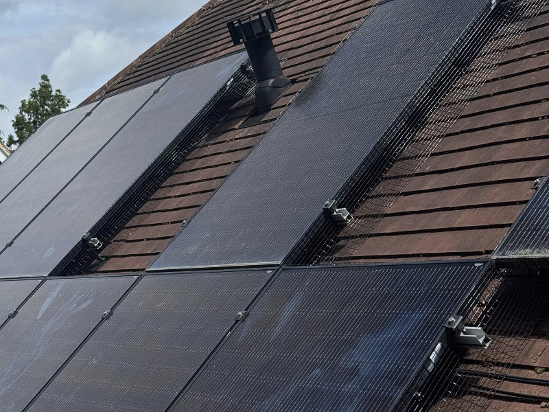 Pigeons Under Solar Panels in Kent | Best Removal Method
