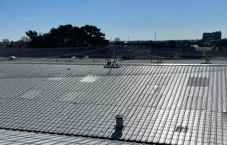 Effective Solutions for Preventing Seagulls from Nesting on Flat Roofs