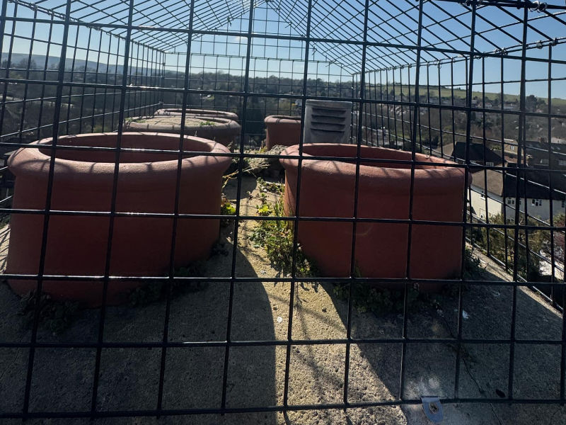 Best Metal Seagull Cages for Chimneys Near Me